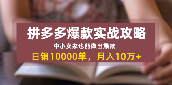 (1305期）拼多多爆款实战攻略：中小卖家也能做出爆款，日销10000单 月入10w+